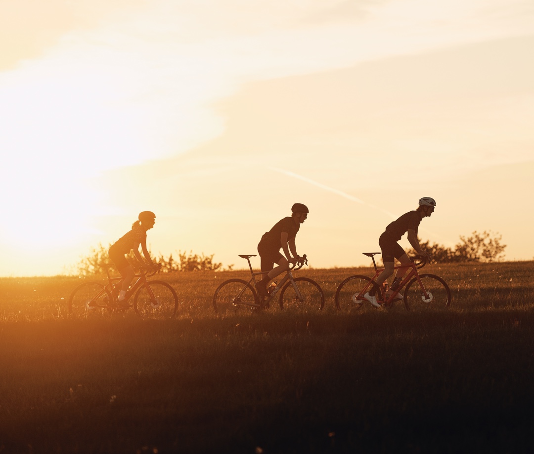 Descubre nuestras bicicletas