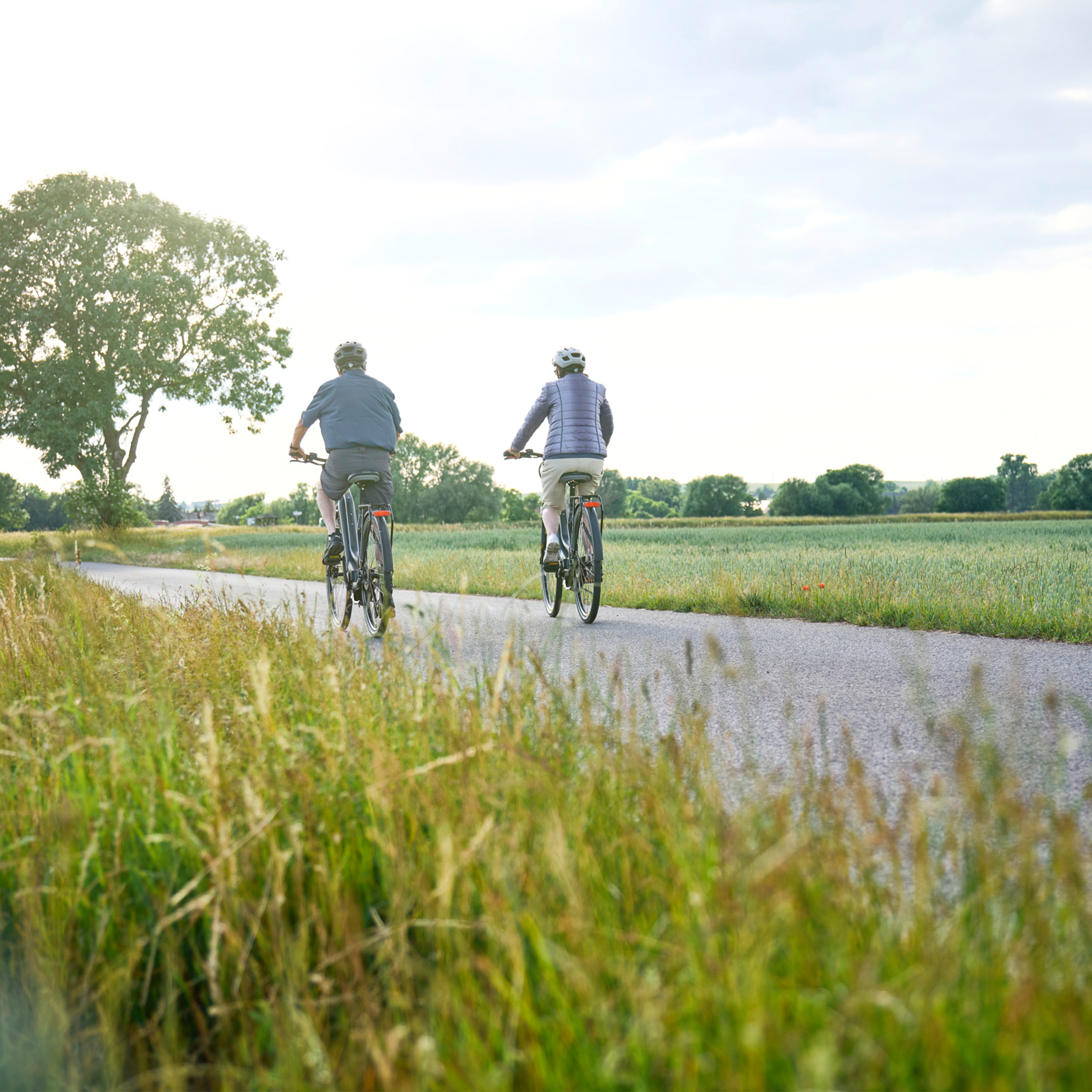 ERGON Core City / Touring