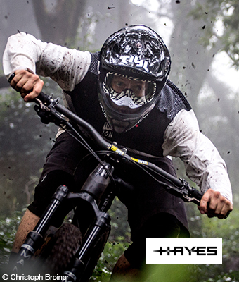 Hayes_Mobile