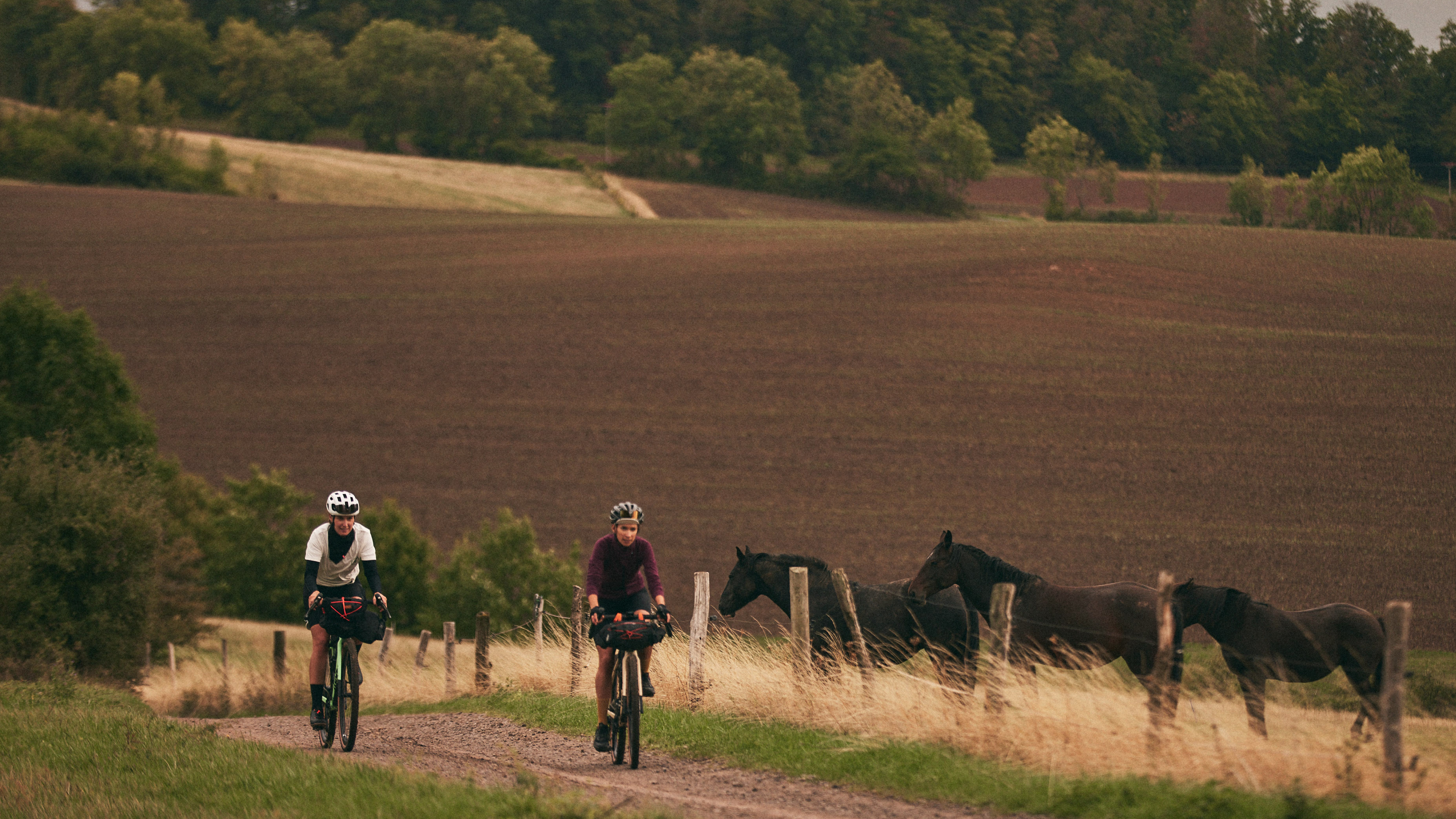 banner_slider-BACKROAD-AL-PLUS-Tag1-Bild1