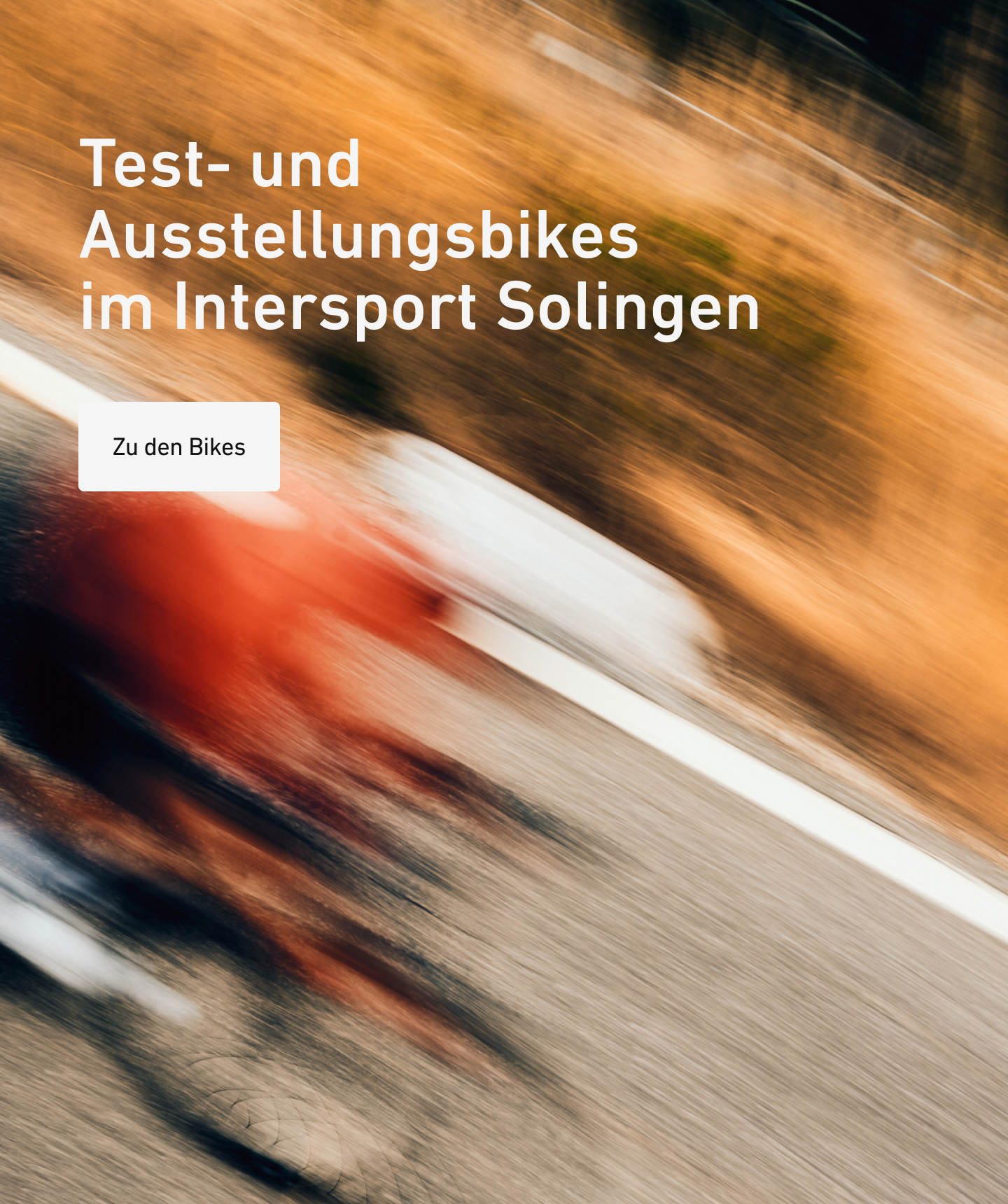 Banner Intersport Solingen DE Mobile jpg