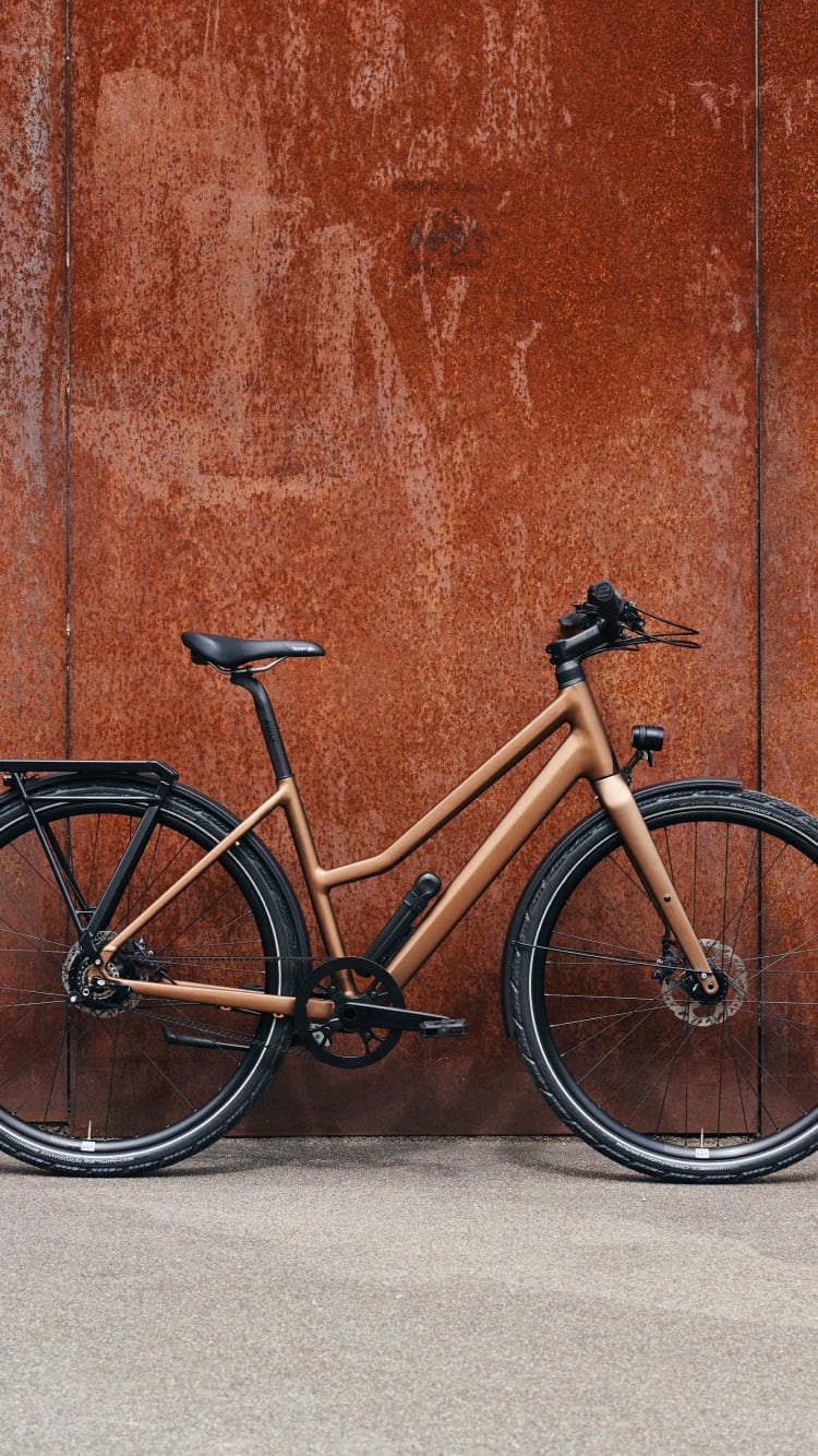 Black Lava | Stylisches Trekking Bike