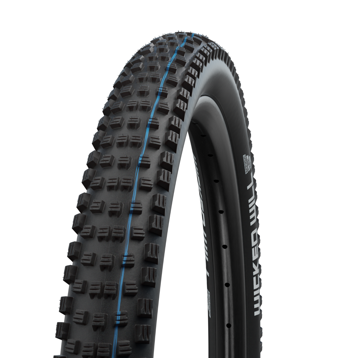 Wicked Will Evolution Addix SpeedGrip Super Trail TLE pneu vtt tringle souple