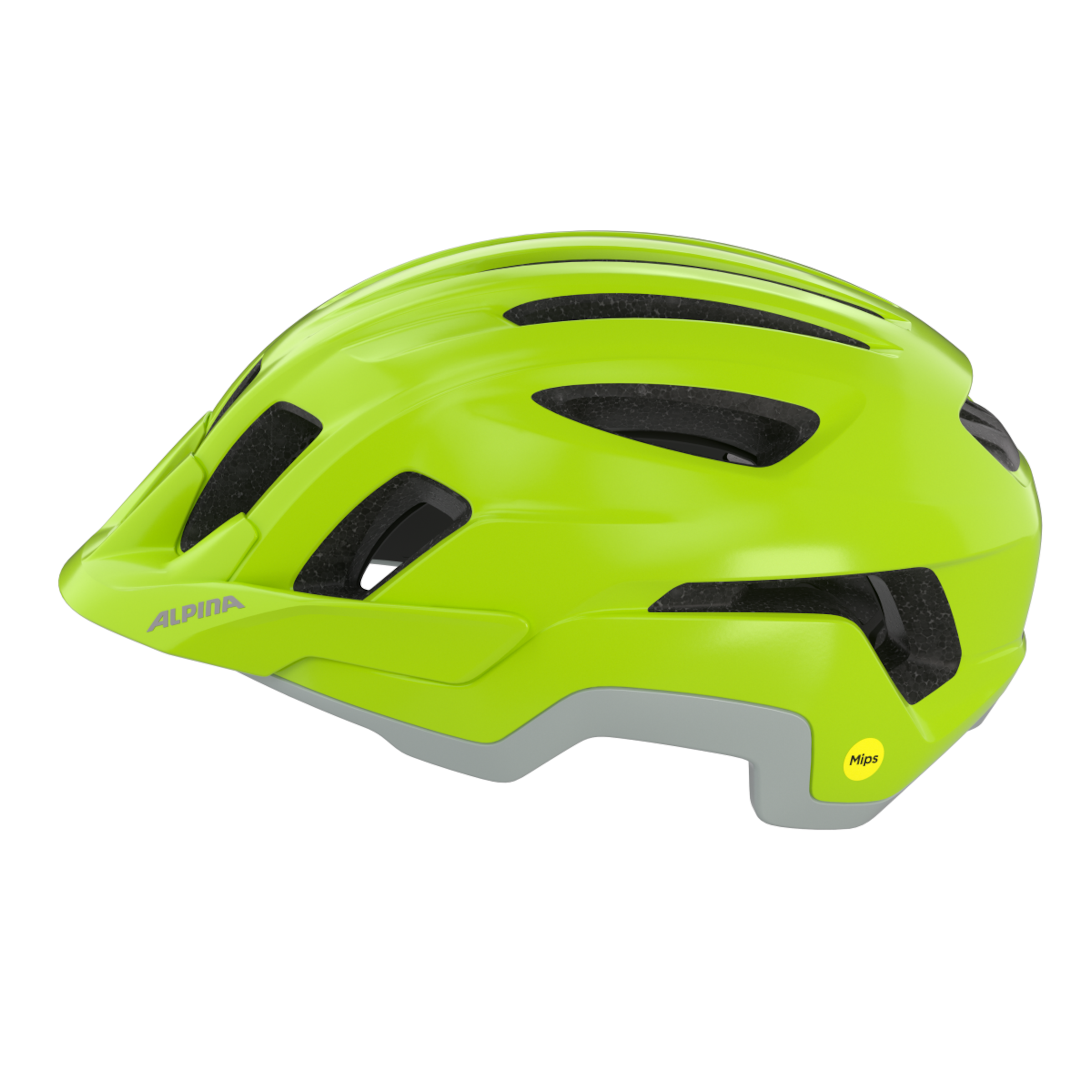 PARANUS MIPS Fahrradhelm 