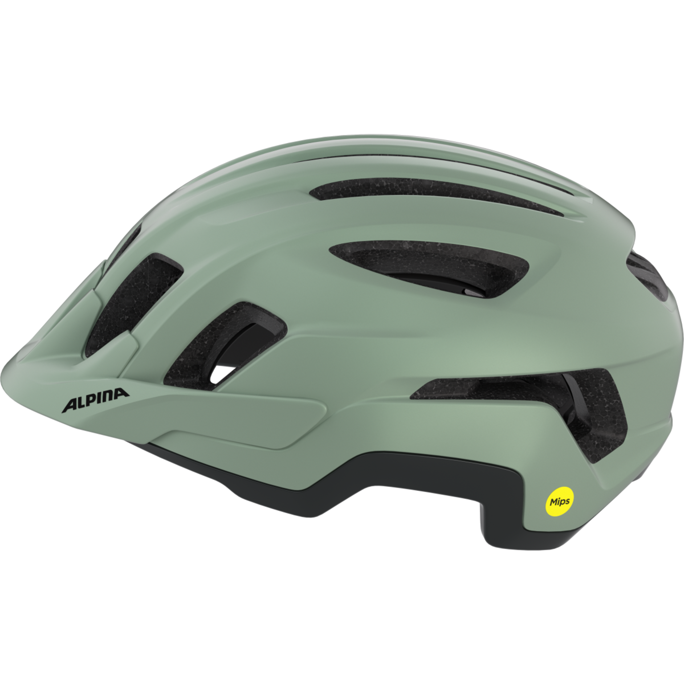 PARANUS MIPS fietshelm 