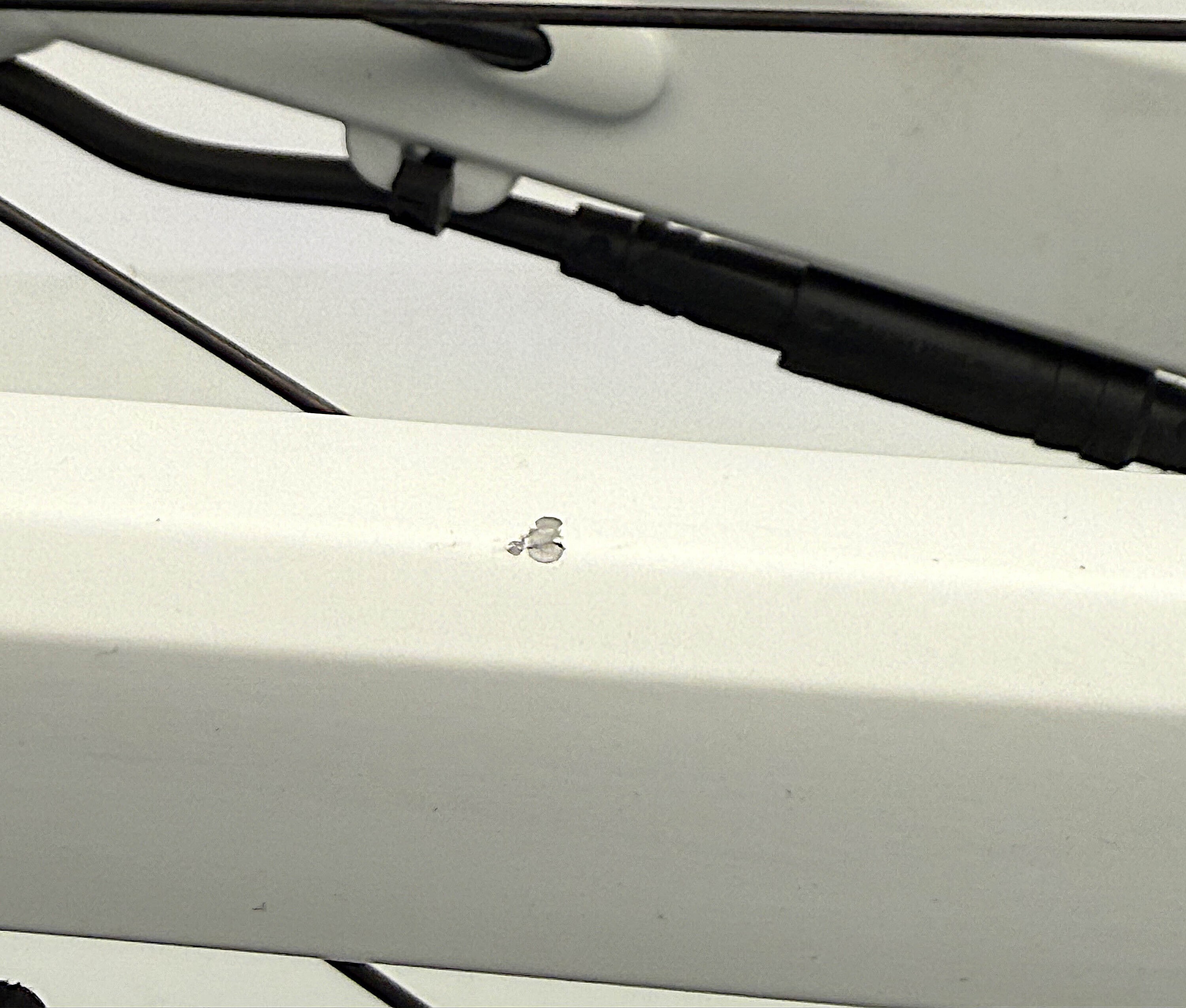 Sneak Plus EQ Testbike Größe : M (B-Ware)edi