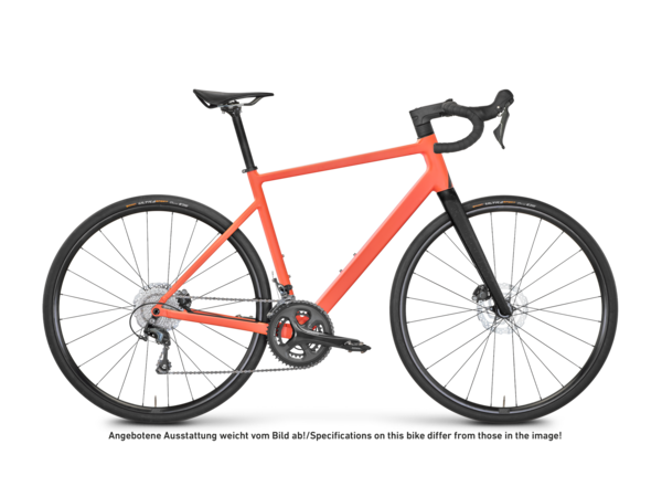 Blend Road Testbike Größe : XXS (B-Ware) 