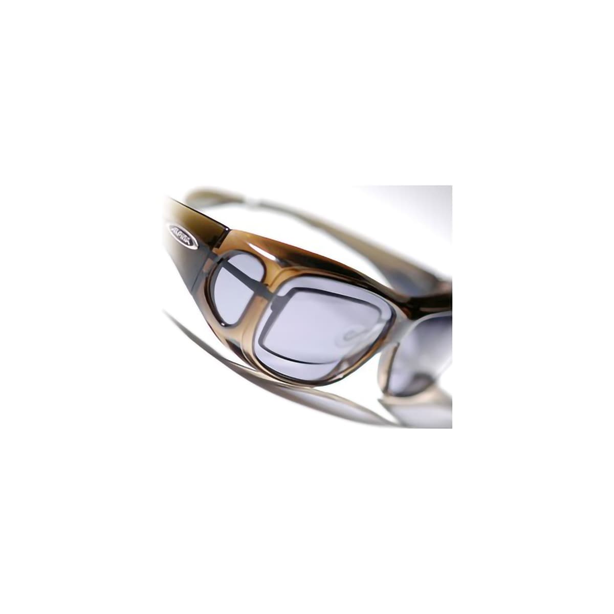 ALPINA OVERVIEW Brille jetzt kaufen | ROSE Bikes