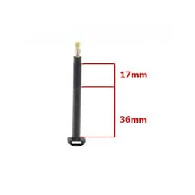 Carbonaria TL tubeless ventiel SV van carbon