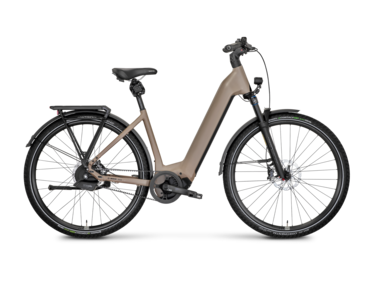 Mayor Plus 3 LowStep