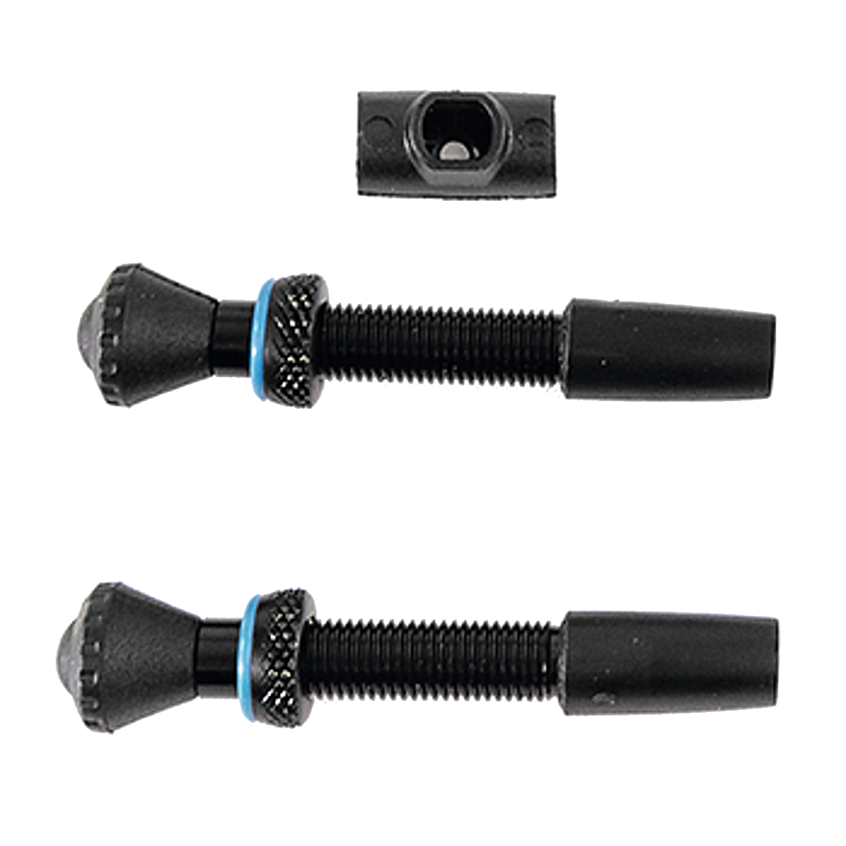 Tubeless valves for Compact Tubeless Refill System