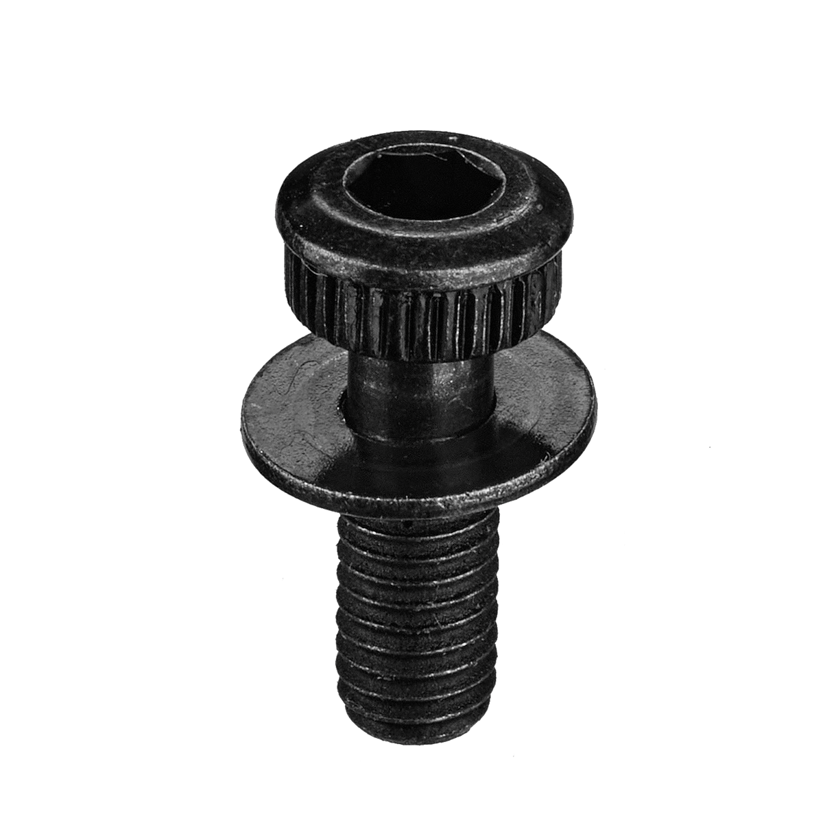 Shop Front Wheel Mounting Bolt Flatmount Type A Now ROSE Bikes shop-front-wheel-mounting-bolt-flatmount-type-a-now-rose-bikes