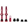 Tubeless Valve Kit V2 MTB Road