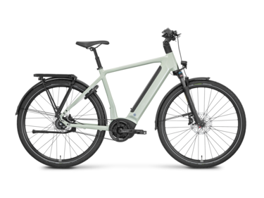 Xtra Watt Plus 2 Ausstellungsbike Größe : 21" (B-Ware)