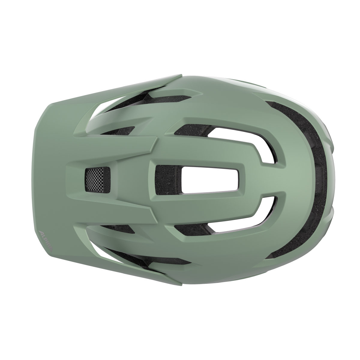 TAUNUS MIPS MTB Helmet