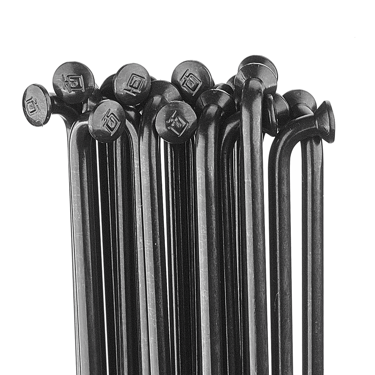 DT Swiss Champion Speiche schwarz / 20 Stück