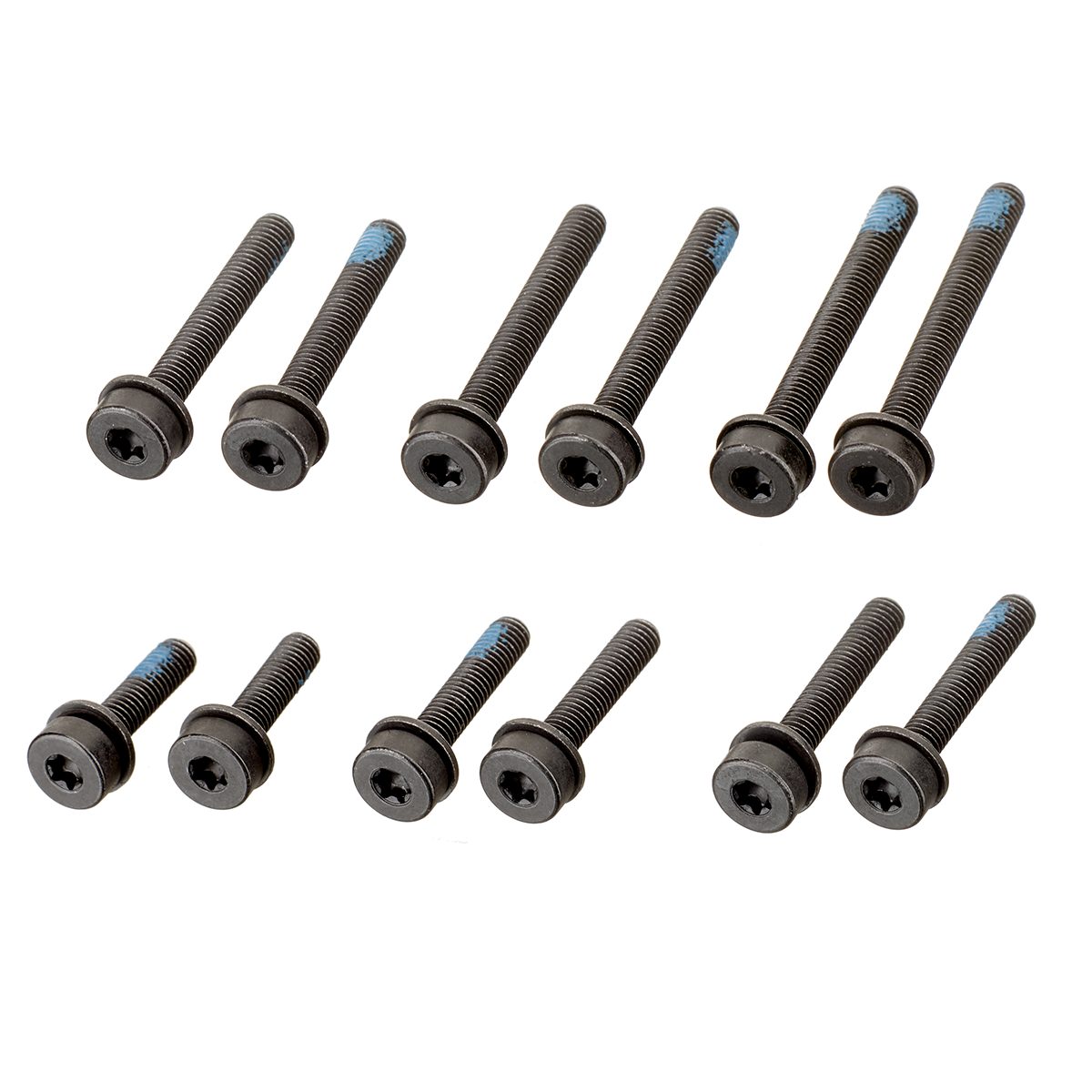 FlatMount Bolt Set Rear Wheel