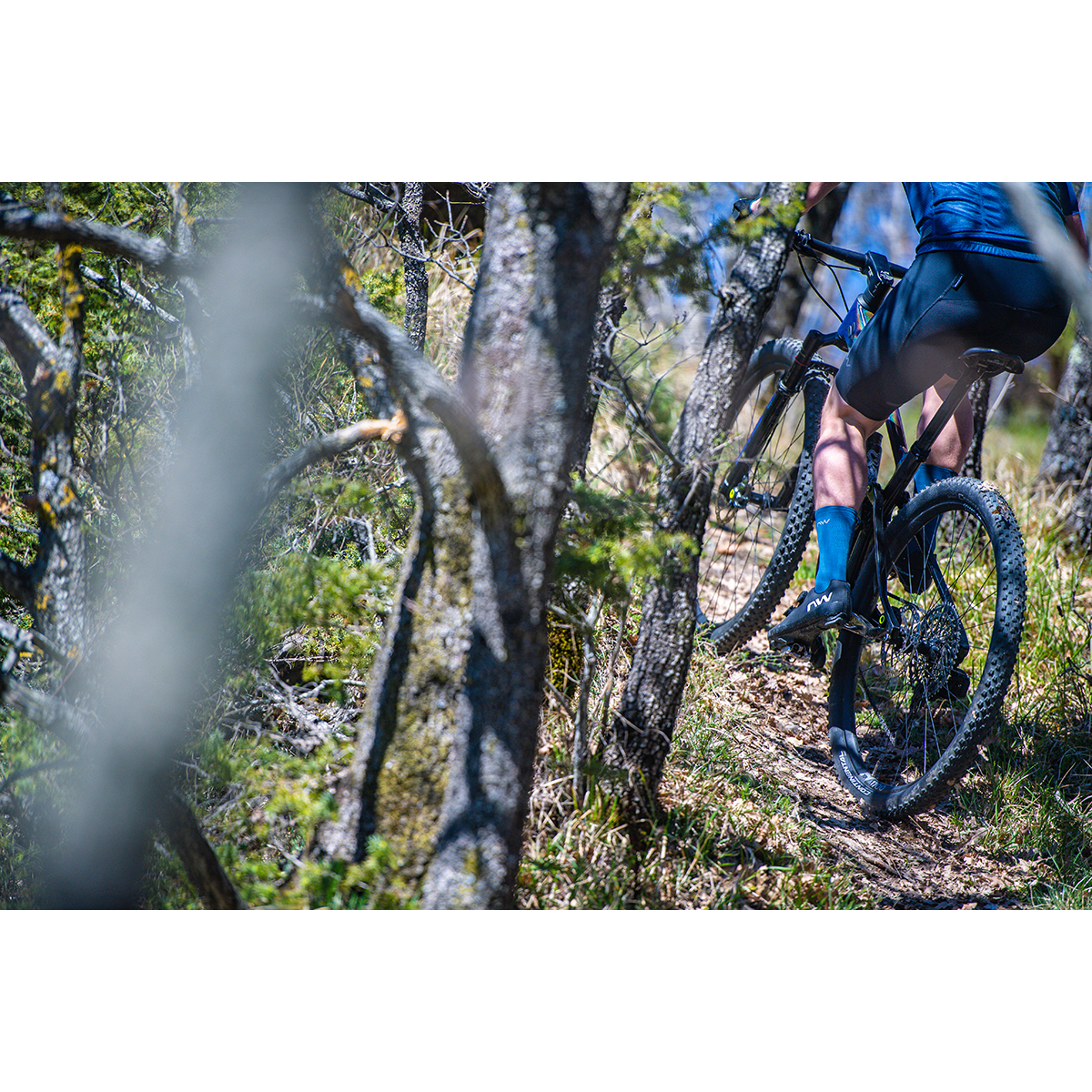 EXTREME XCM 4 MTB Shoes