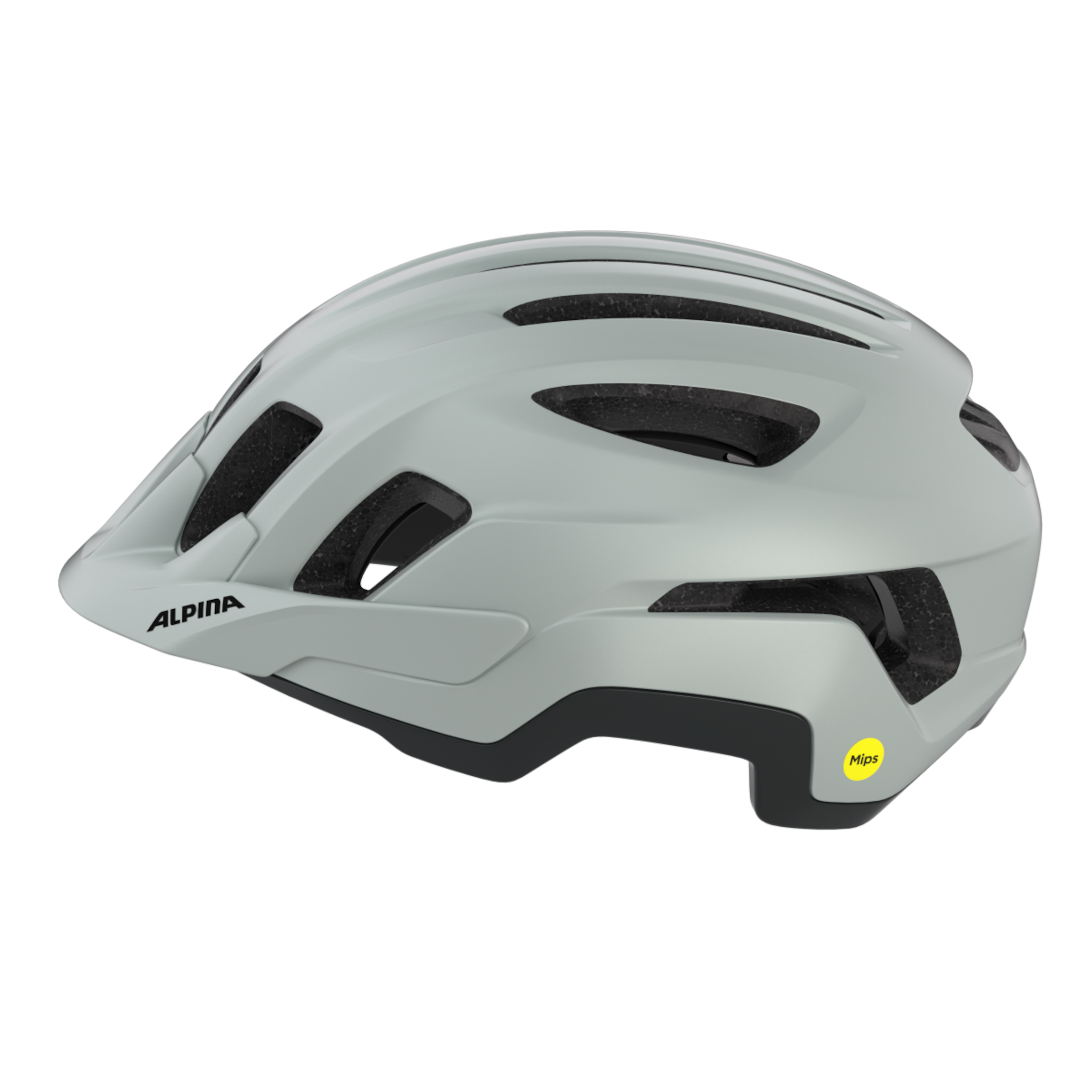PARANUS MIPS fietshelm 
