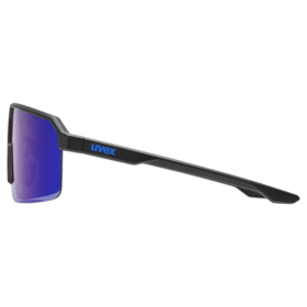 RAMP Sports Glasses