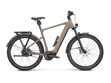 Mayor Plus 3