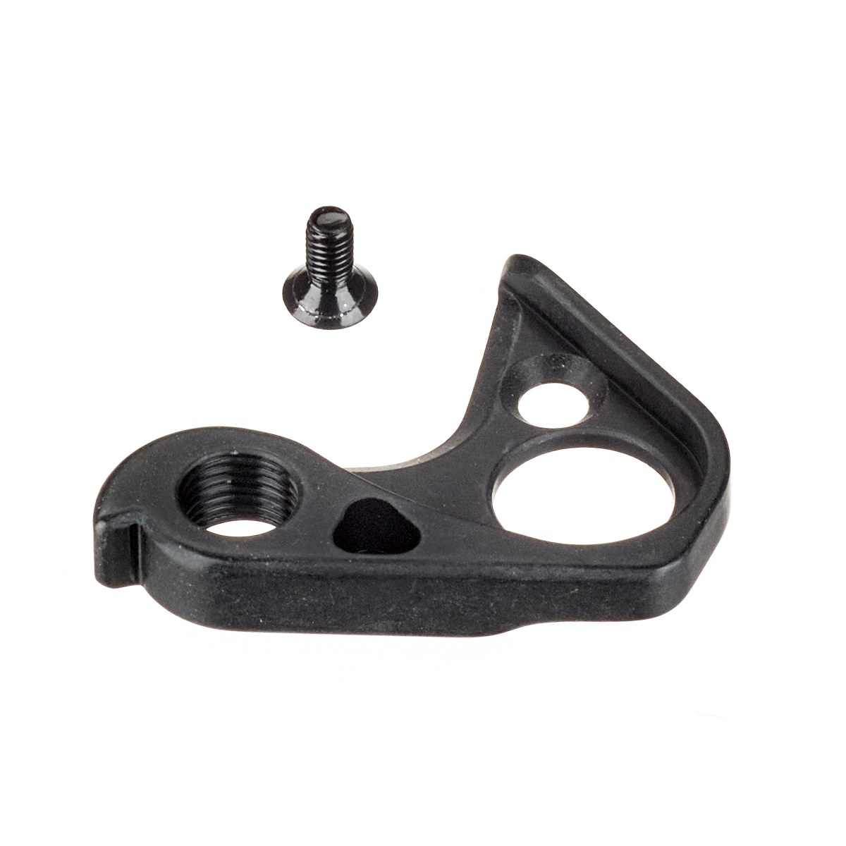 Derailleur Hanger 76