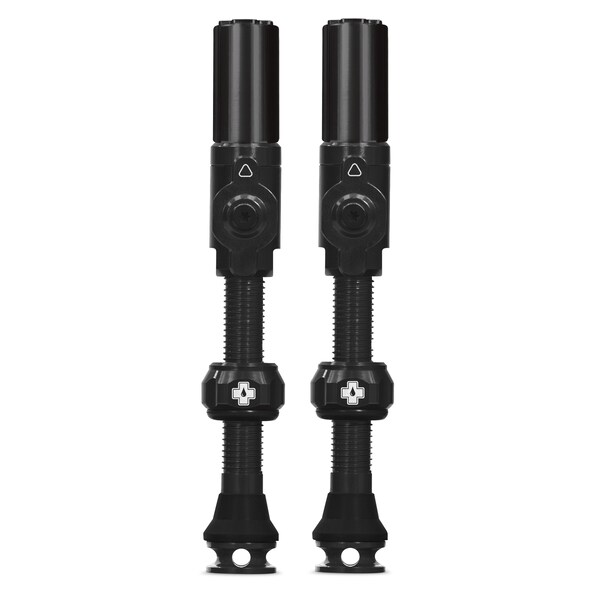Big Bore Hybrid Tubeless Valve