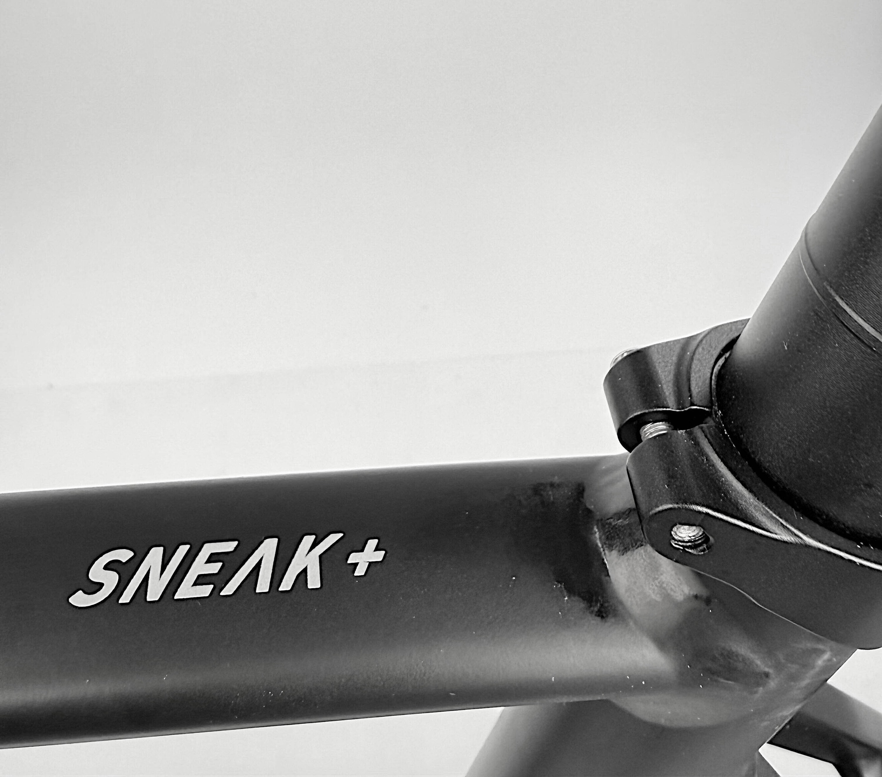 Sneak Plus EQ Testbike Größe : L (B-Ware)
