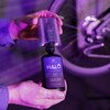 HALO Wet Lube Kettenöl
