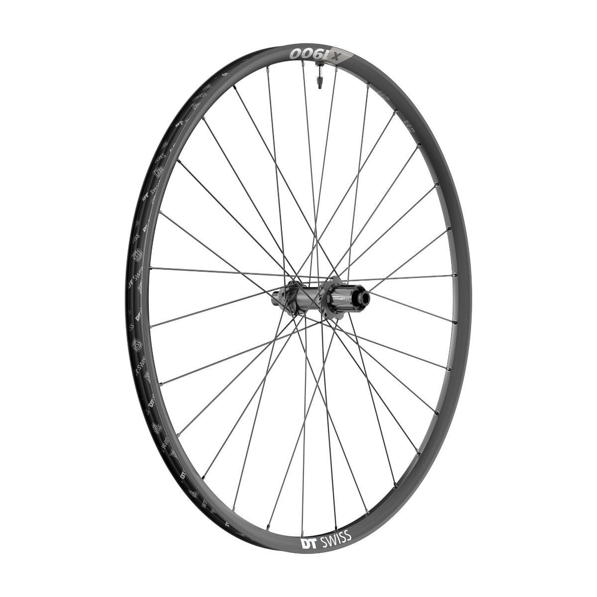 DT Swiss X 1900 Spline® 25 SHIMANO HG Disc 29" MTB-Hinterrad, MY2022