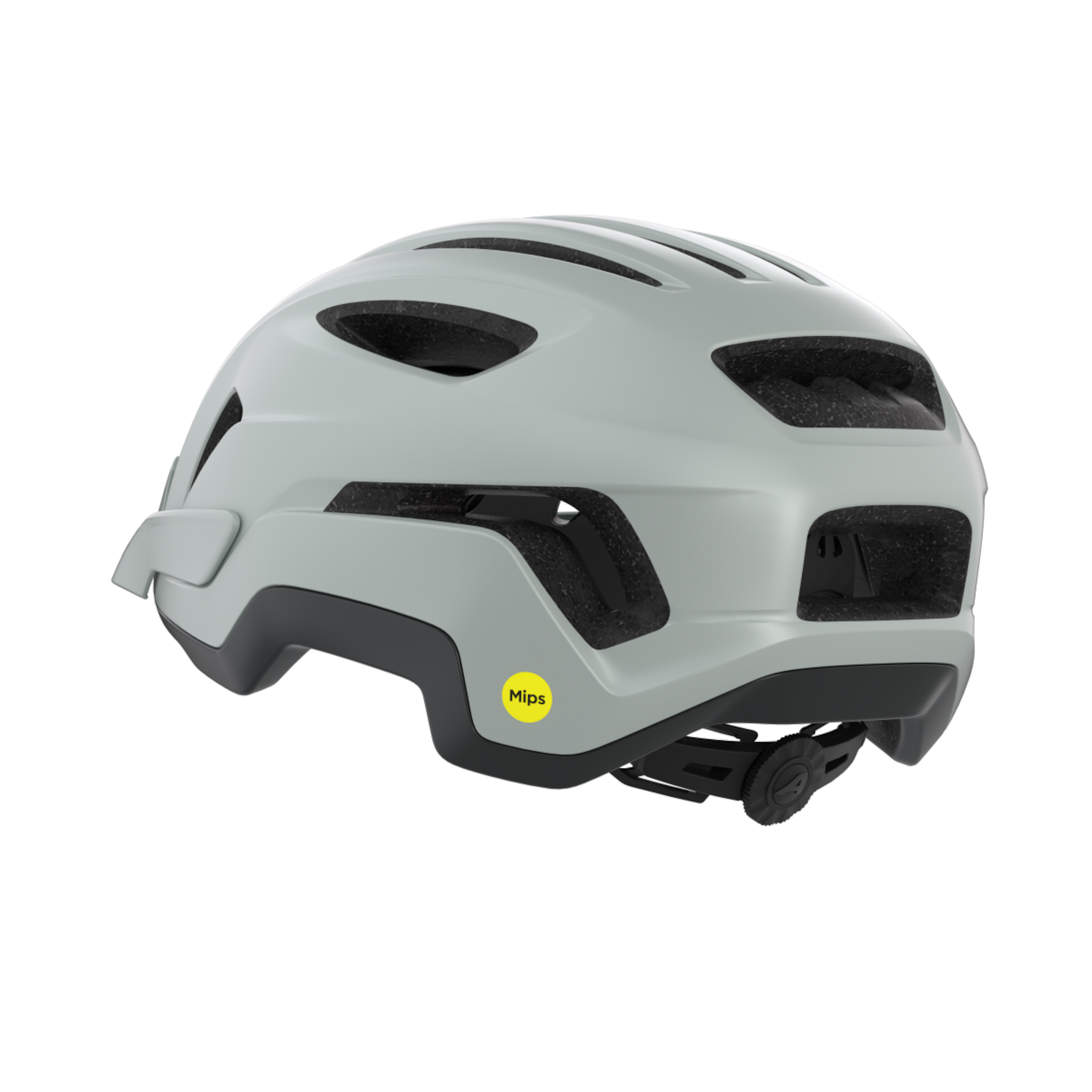 PARANUS MIPS fietshelm 