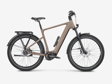 Mayor Plus 2