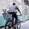 BUDDY Fahrradkorb für Hunde 