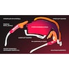 CUTLINE Sportbrille