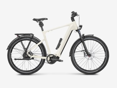 Mayor Plus 3