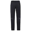 MEN'S WINTRY PANTS V Softshell Trousers