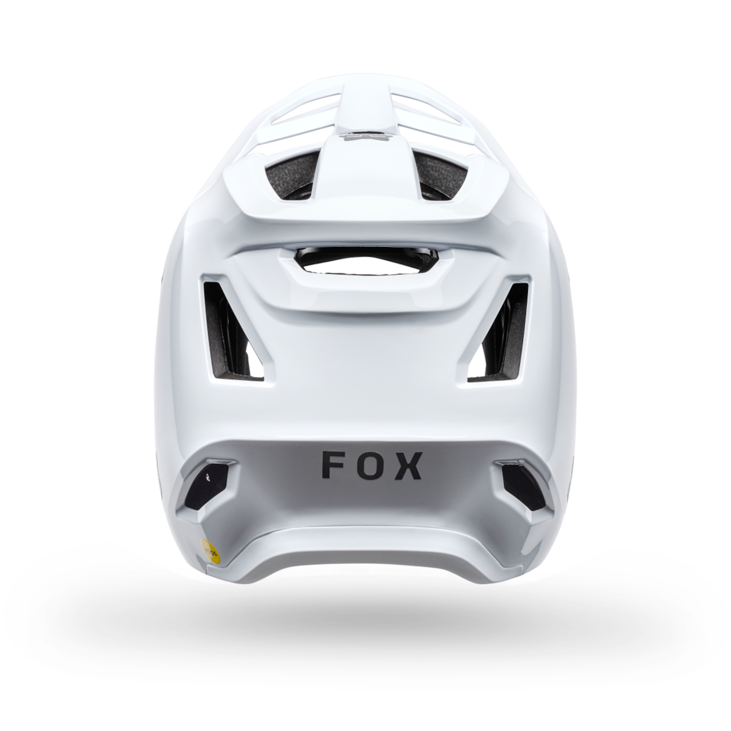 RAMPAGE WHT Full Face MTB Helmet