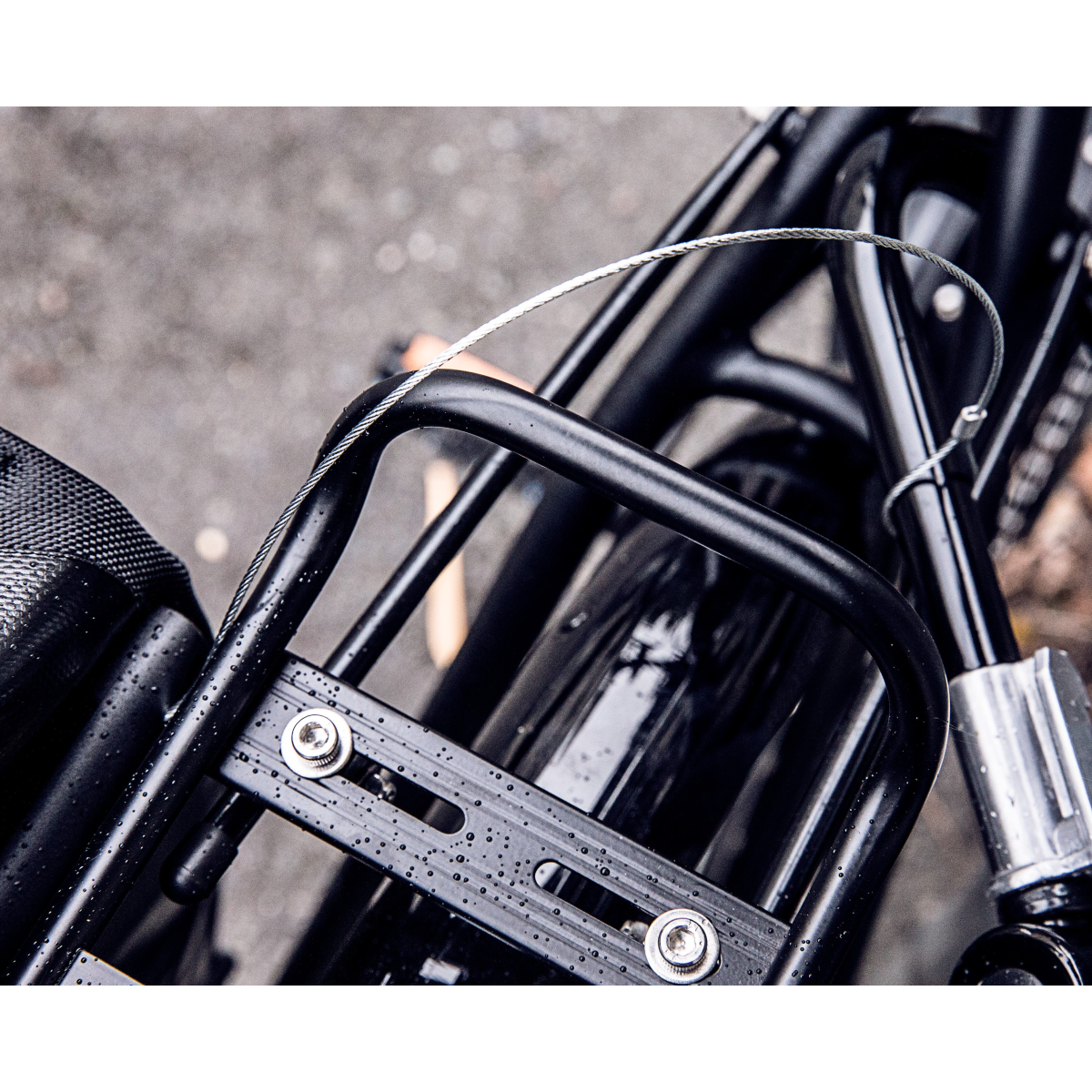 Anti-Theft Device QL2.1, QL2 Short E124