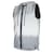 silvergrey