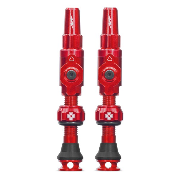 Big Bore Lite Tubeless Valve