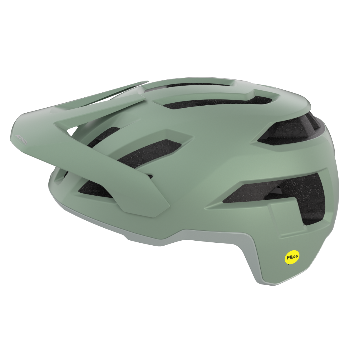 TAUNUS MIPS MTB Helmet