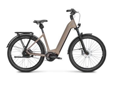 Mayor Plus 3