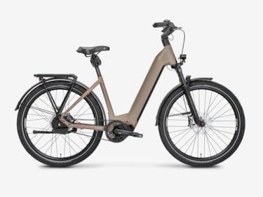 Mayor Plus 3