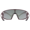 SKYRYSE Sportbrille