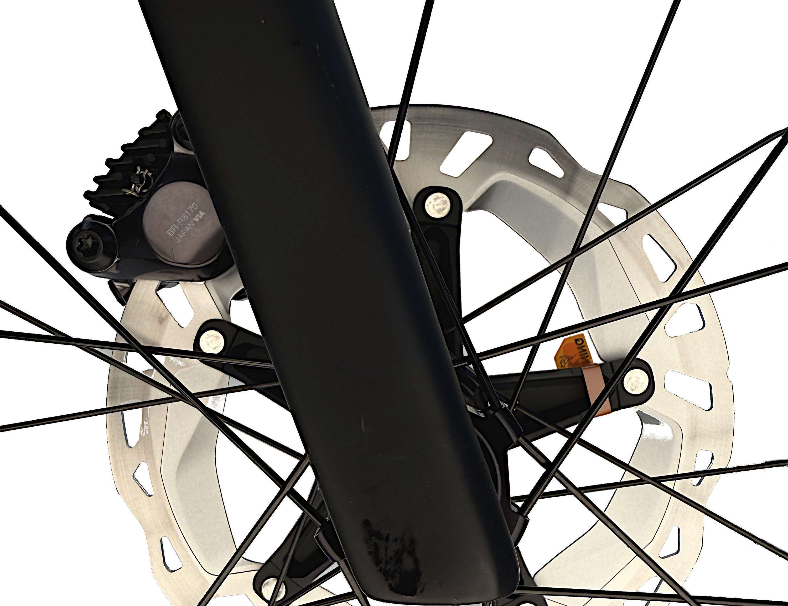 Reveal Plus Ultegra Di2