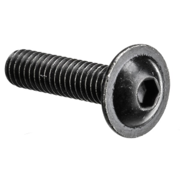 Limiting Screw for ProGeo System Pikes Peak