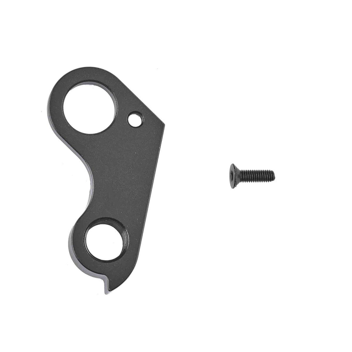 Derailleur Hanger 48