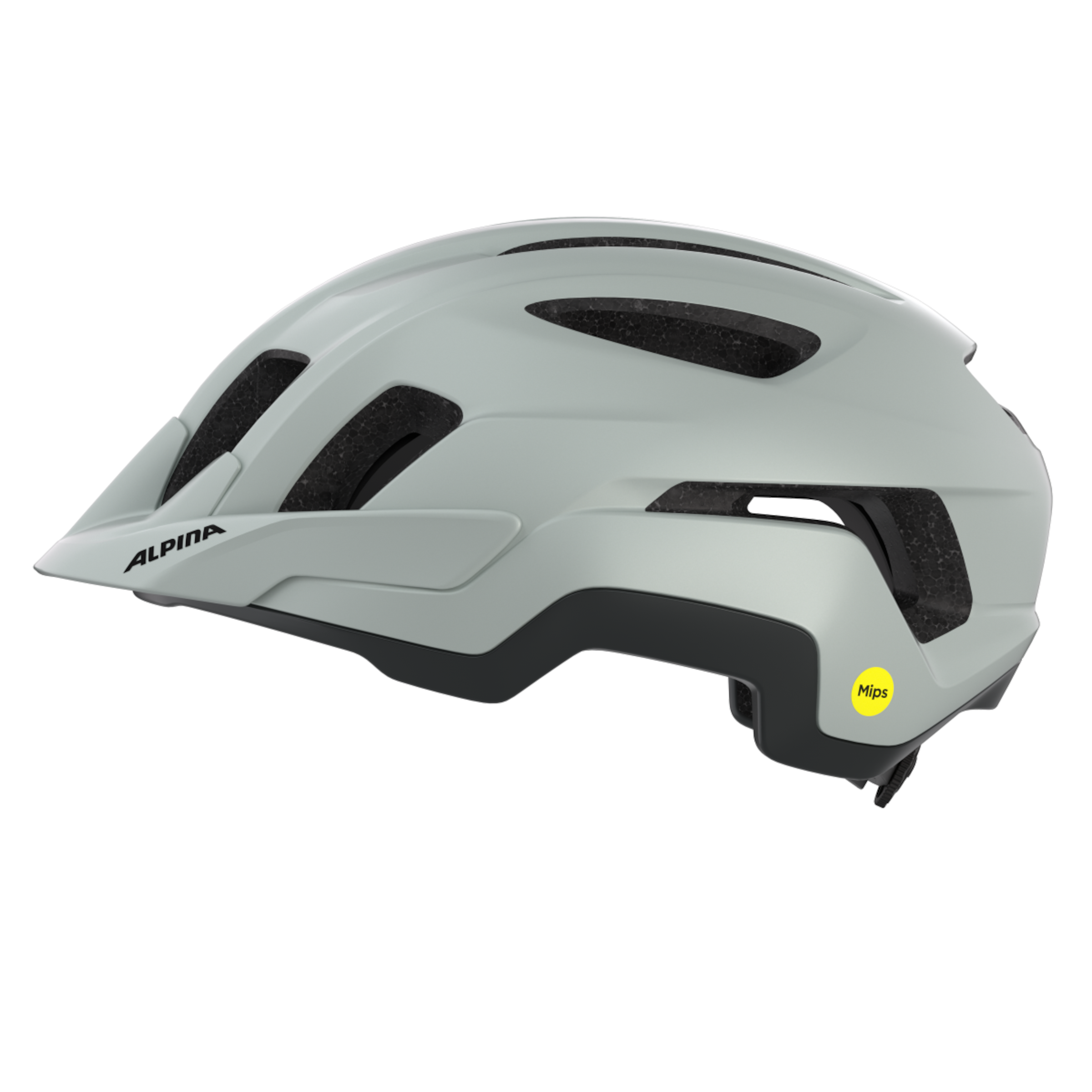PARANUS MIPS fietshelm 