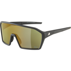 Shop ALPINA TWIST SIX S HR V Varioflex sports glasses now | Rose Bikes