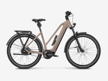 Mayor Plus 3
